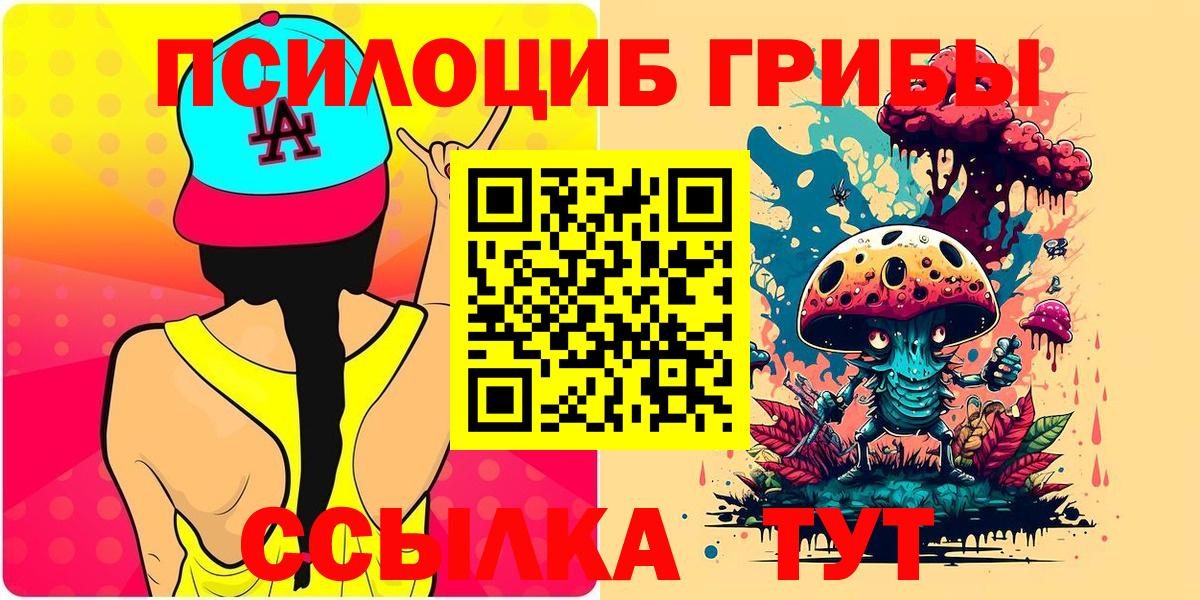 Галлюциногенные грибы Psilocybine cubensis Александров