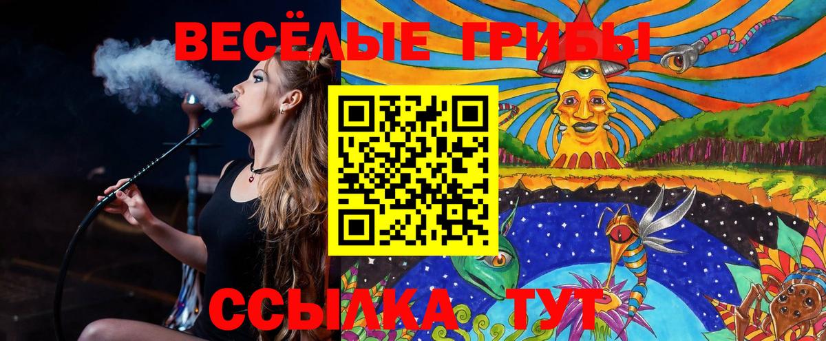 Александров  Галлюциногенные грибы мицелий  Галлюциногенные грибы Psilocybine cubensis  Вход с VPN 